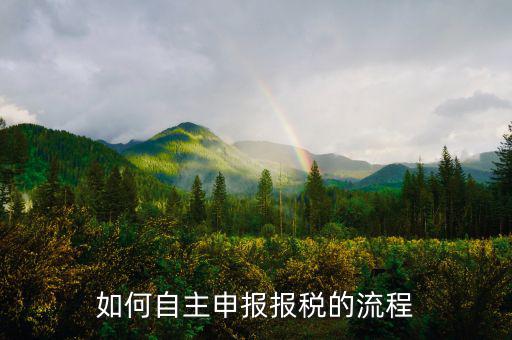 如何進(jìn)行稅務(wù)申報(bào)，個(gè)體戶如何申報(bào)稅