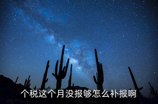 如何補(bǔ)報個人所得稅，個人所得稅報錯了怎么補(bǔ)報