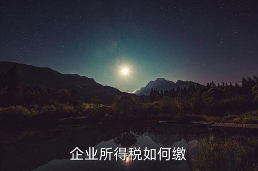 企業(yè)所得稅如何繳稅，企業(yè)所得稅如何繳納