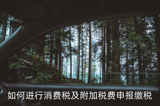 附加稅如何才能申報(bào)，如何進(jìn)行消費(fèi)稅及附加稅費(fèi)申報(bào)繳稅
