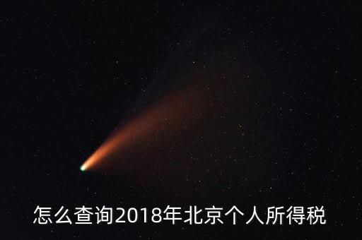 北京如何查納稅記錄，2018年北京個(gè)人所得稅繳納記錄查詢?nèi)绾尾?/></a></span><span id=