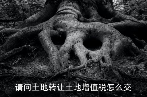 土地增值稅如何繳納，請問土地轉(zhuǎn)讓土地增值稅怎么交