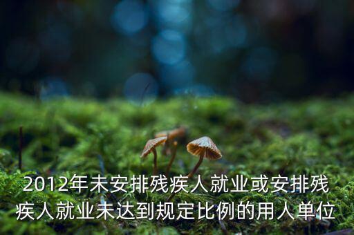殘保金如何計算，2012年未安排殘疾人就業(yè)或安排殘疾人就業(yè)未達到規(guī)定比例的用人單位