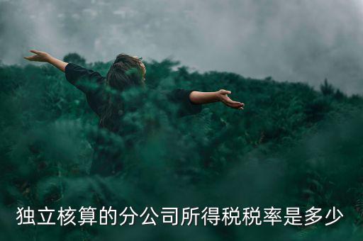 獨(dú)立核算的分公司如何納稅，誰知道獨(dú)立核算的同城分公司如何繳稅