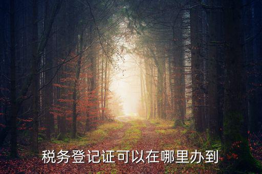 如何辦理稅種登記，辦好營業(yè)執(zhí)照后怎么辦理稅務登記證