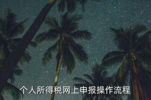 上海個人所得稅如何申報，上海企業(yè)如何交個人所得稅
