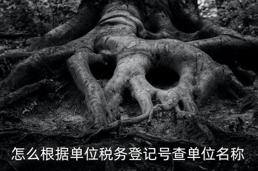 如何通過稅號(hào)查單位，知道納稅人識(shí)別號(hào)怎么查單位