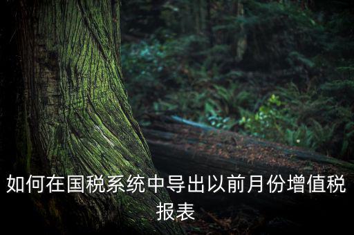 如何導(dǎo)出增值稅申報表，如何在國稅系統(tǒng)中導(dǎo)出以前月份增值稅報表