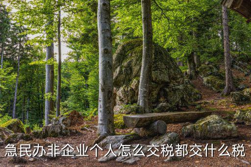 民非企業(yè)如何納稅申報，民辦非企業(yè)單位如何繳納個人所得稅