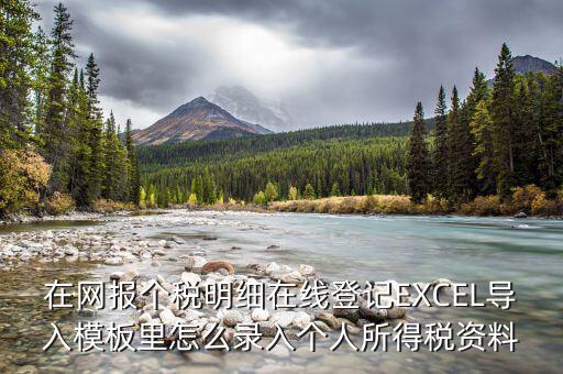 北京個(gè)稅明細(xì)申報(bào)如何導(dǎo)入，在網(wǎng)報(bào)個(gè)稅明細(xì)在線登記EXCEL導(dǎo)入模板里怎么錄入個(gè)人所得稅資料