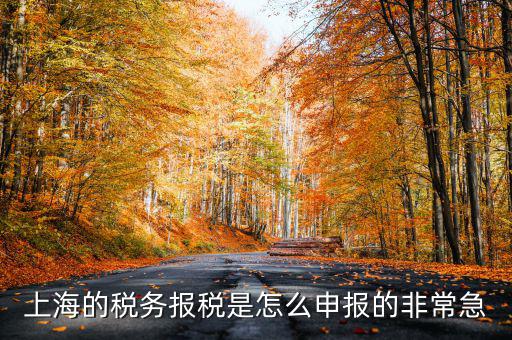 上海市國地稅如何申報(bào)，上海地稅是網(wǎng)上報(bào)稅嗎采取什么方式申報(bào)