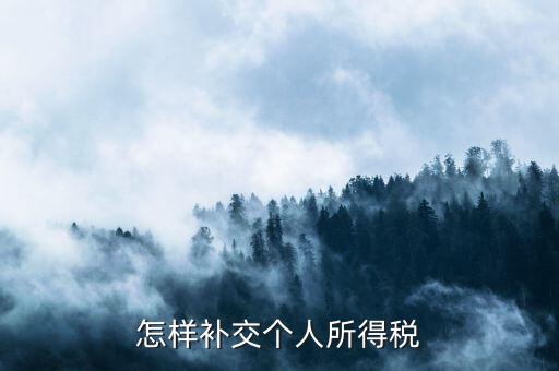 如何補(bǔ)交個(gè)人所得稅，如何用個(gè)人所得稅扣繳系統(tǒng)補(bǔ)繳稅款