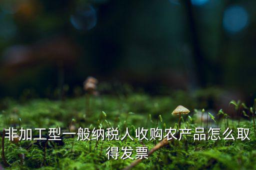 農(nóng)產(chǎn)品收購(gòu)發(fā)票如何，農(nóng)產(chǎn)品收購(gòu)發(fā)票如何開(kāi)