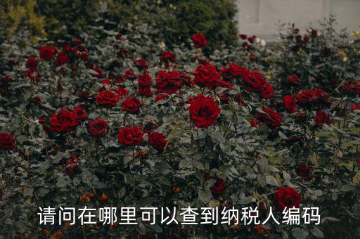 教您如何查詢納稅人代碼，忘記稅務征收機關代碼