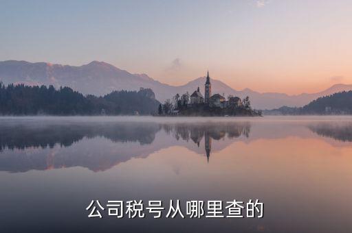 如何查到企業(yè)納稅號，公司稅號從哪里查的