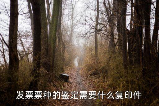 如何做票種認(rèn)定，如何申請發(fā)票票種