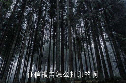 如何打印納稅信用等級，征信報告怎么打印的啊