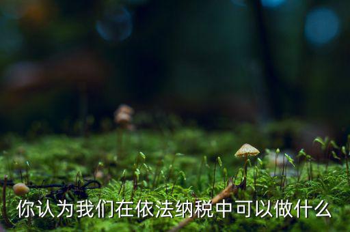 如何做到依法納稅，你認(rèn)為我們在依法納稅中可以做什么