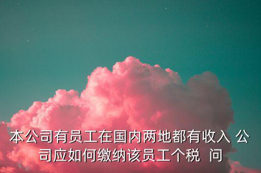公司內(nèi)部應(yīng)該如何制定個稅繳納制度，企業(yè)工資項目構(gòu)成以及交納個人所得稅的方法