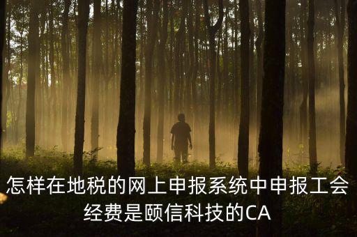 工會經(jīng)費如何網(wǎng)上申報，怎樣在地稅的網(wǎng)上申報系統(tǒng)中申報工會經(jīng)費是頤信科技的CA