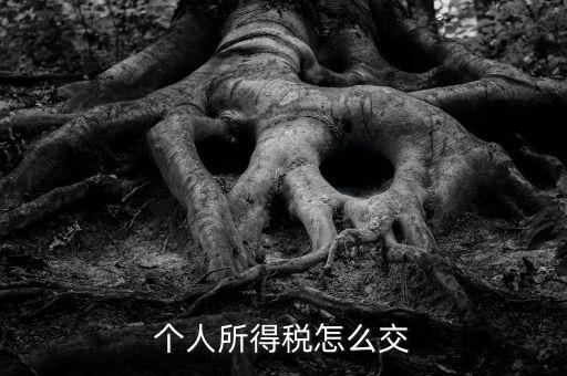 個人所得稅如何繳納，個人所得稅怎么繳納