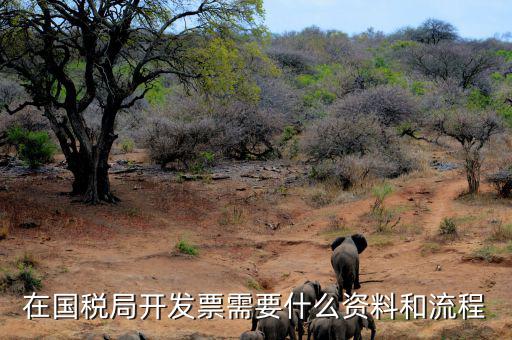 國稅局批票如何辦理，在國稅局開發(fā)票需要什么資料和流程