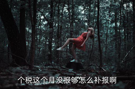 個稅這個月沒報(bào)夠怎么補(bǔ)報(bào)啊