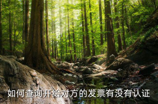 如何查詢發(fā)票認證信息查詢，如何查詢開給對方的發(fā)票有沒有認證