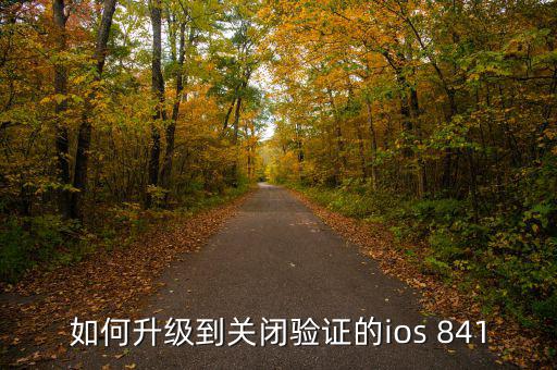 如何升級(jí)到關(guān)閉驗(yàn)證的ios 841