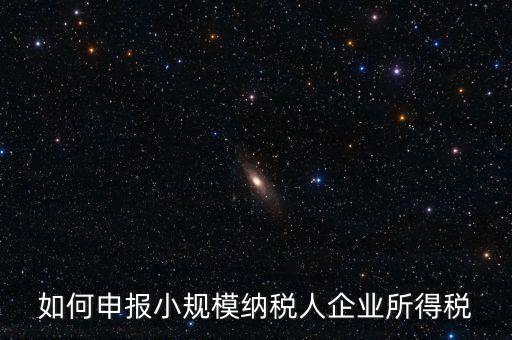 小規(guī)模納稅人如何報企業(yè)所得稅，如何申報小規(guī)模納稅人企業(yè)所得稅