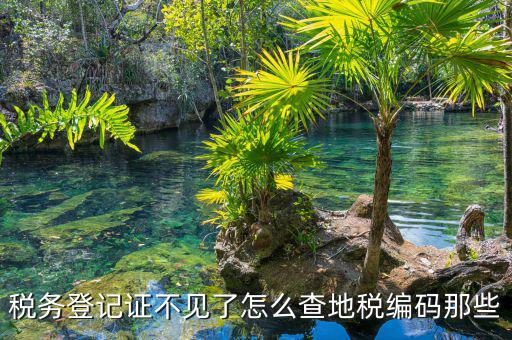 如何查地稅編碼，五證合一后地稅編碼怎么查