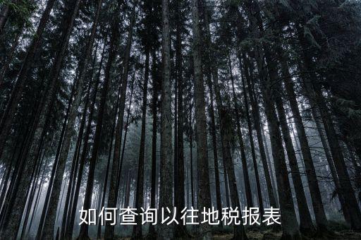 如何查詢(xún)以往地稅報(bào)表