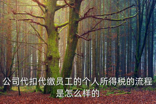 如何代扣代繳個人所得稅，代扣代繳個人所得稅