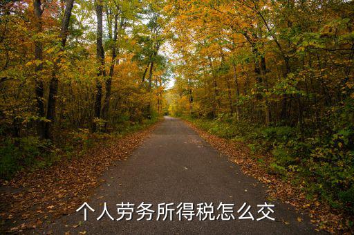 個人勞務費如何繳稅，勞務報酬所得怎么繳納個人所得稅