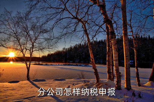 如何申報分公司所得稅，分公司的所得稅怎么報