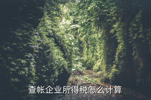 企業(yè)所得稅如何查賬，企業(yè)所得稅計(jì)算 查賬法