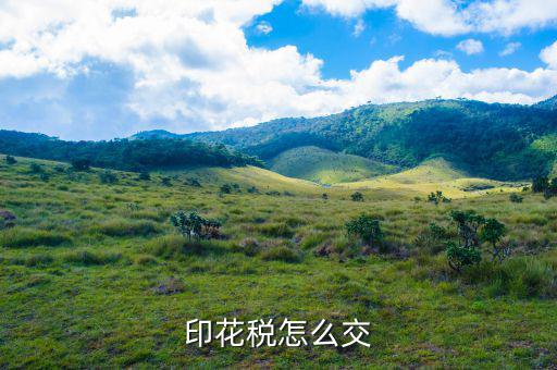 個(gè)人如何繳納印花稅，印花稅怎么交