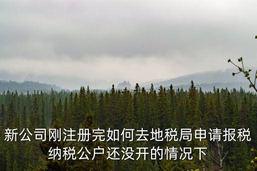 新公司剛注冊完如何去地稅局申請報(bào)稅納稅公戶還沒開的情況下