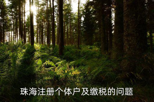 珠海稅票如何網(wǎng)上辦理，珠海刻發(fā)票專用章程序