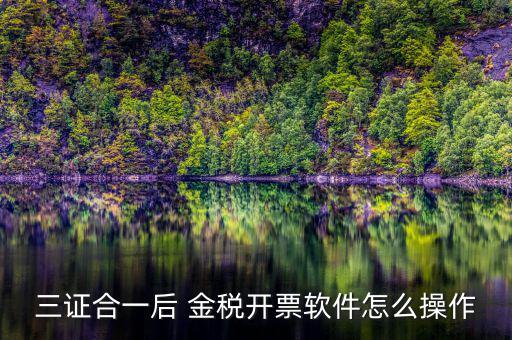 三證合一如何開票系統(tǒng)，怎么給三證合一的企業(yè)開增值稅發(fā)票