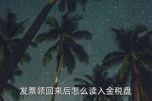 稅稅通申領(lǐng)的發(fā)票如何讀入，電子發(fā)票申領(lǐng)成功后怎么讀入