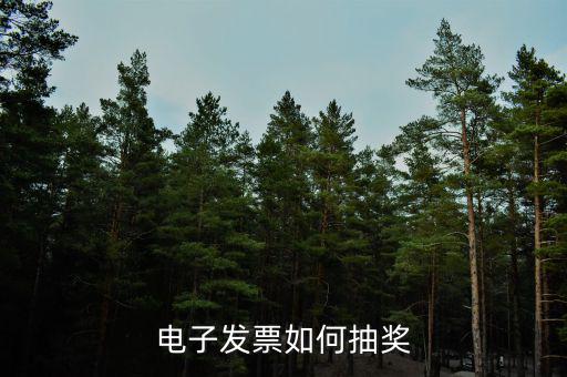 發(fā)票如何登記抽獎(jiǎng)，發(fā)票怎么抽獎(jiǎng)