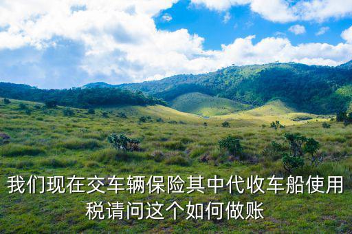 我們現(xiàn)在交車輛保險(xiǎn)其中代收車船使用稅請問這個(gè)如何做賬