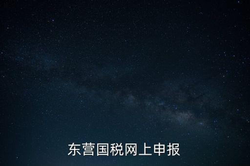 東營國稅網上申報