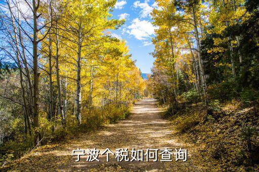寧波個(gè)人納稅如何查詢系統(tǒng)，哪里可以查詢寧波個(gè)人所得稅繳納清單