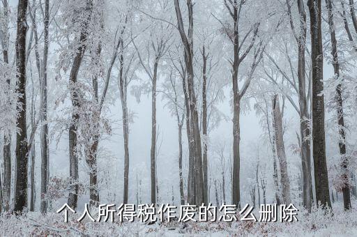如何刪除已審核的地稅報(bào)表，已遞上的地稅網(wǎng)上財(cái)務(wù)報(bào)表系統(tǒng)的報(bào)表能否刪除
