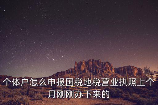 個(gè)體定額如何申報(bào)國(guó)稅，個(gè)體戶(hù)如何申報(bào)國(guó)稅和地稅