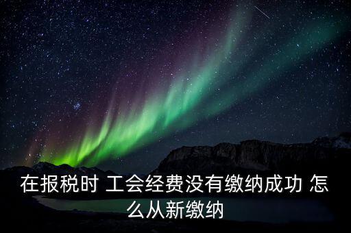 如何補(bǔ)繳工會(huì)經(jīng)費(fèi)，在報(bào)稅時(shí) 工會(huì)經(jīng)費(fèi)沒有繳納成功 怎么從新繳納