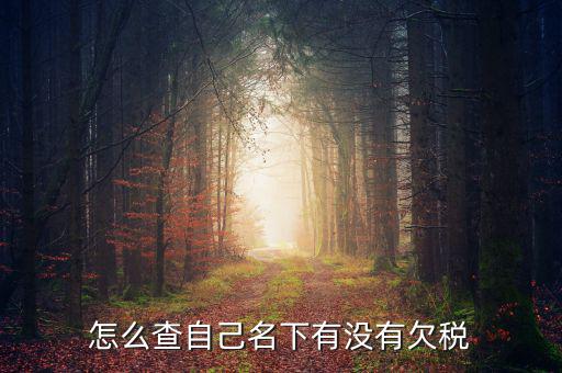 如何查欠稅記錄，怎么查個(gè)人有沒有欠稅