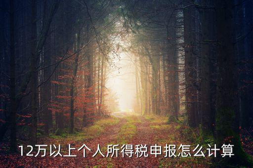 12萬個(gè)人申報(bào)如何計(jì)算，如何計(jì)算12萬元個(gè)人所得稅申報(bào)表